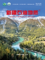 《新疆石油地质》